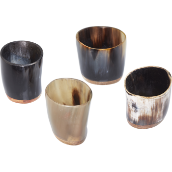 Viking Shot Set 4 stuks