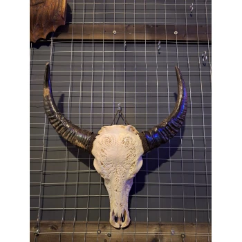 Buffelkop gegraveerd wit