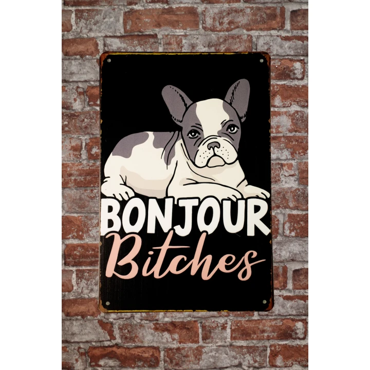 30302 Bonjour bitches