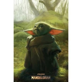 Star wars Mandalorian poster