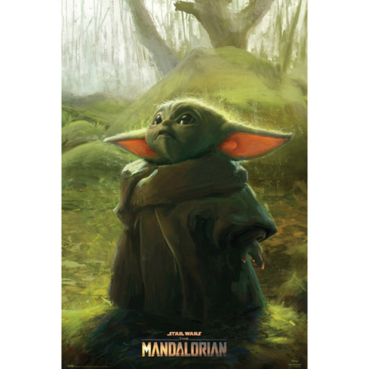 Star wars Mandalorian poster