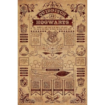 Harry Potter Quidditch At Hogwarts