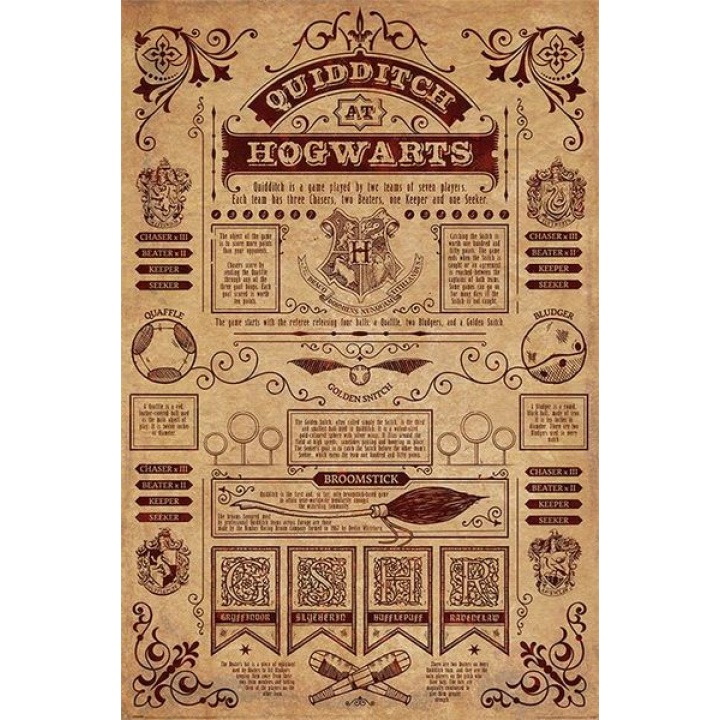 Harry Potter Quidditch At Hogwarts poster