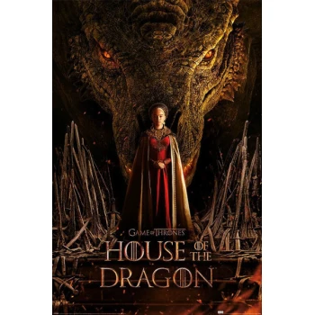 House of dragon poster