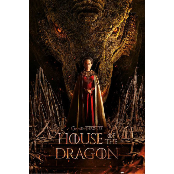 House of dragon poster