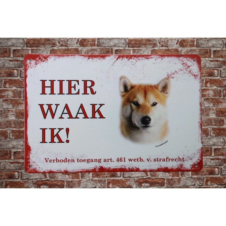 31372 Shiba