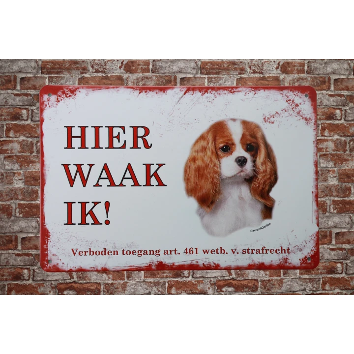 31377 king charles spaniel