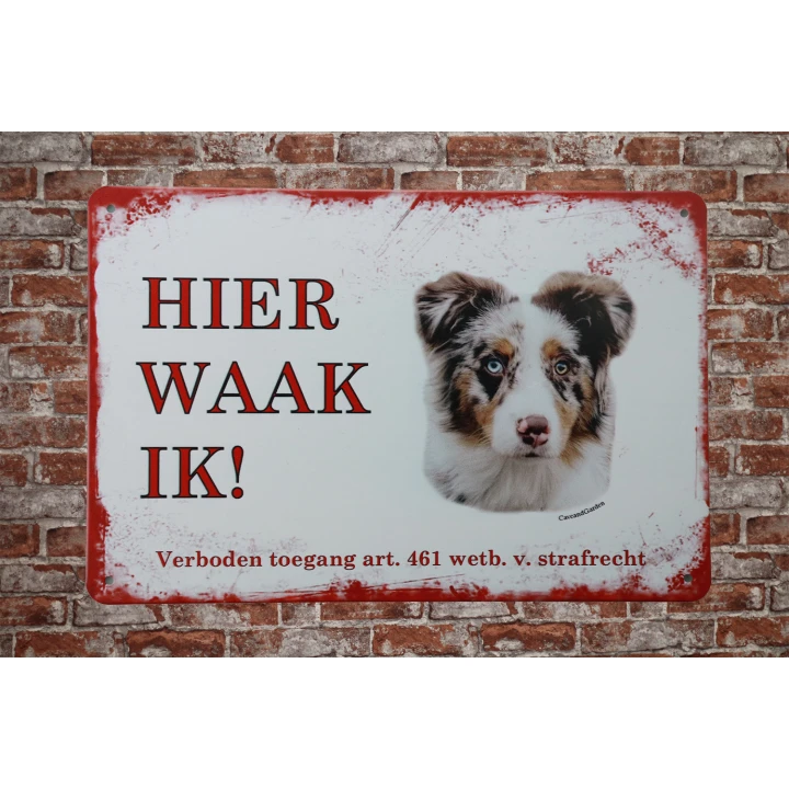 31380 australische herder