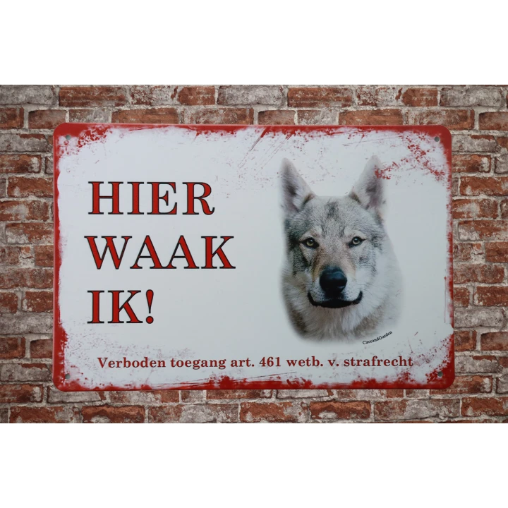 31385 tjechische wolfshond
