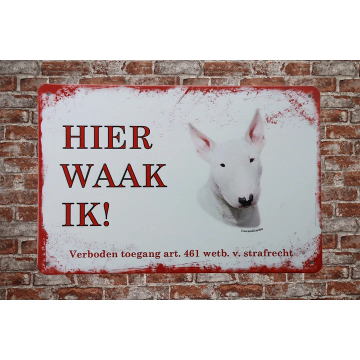 31388 bull terier