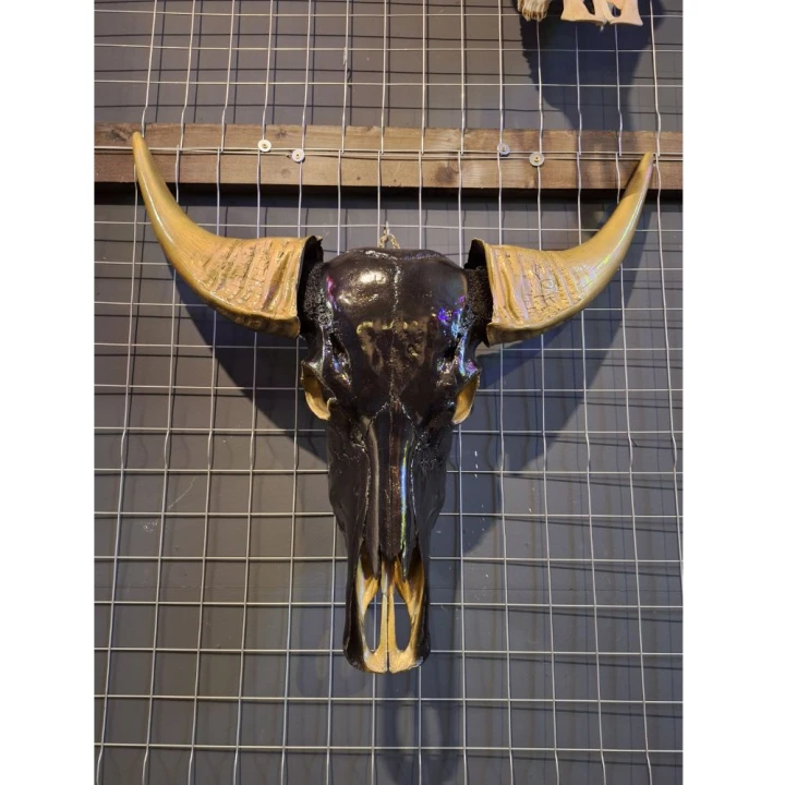 buffel schedel zwart-3 Waterbuffel schedel zwart goud