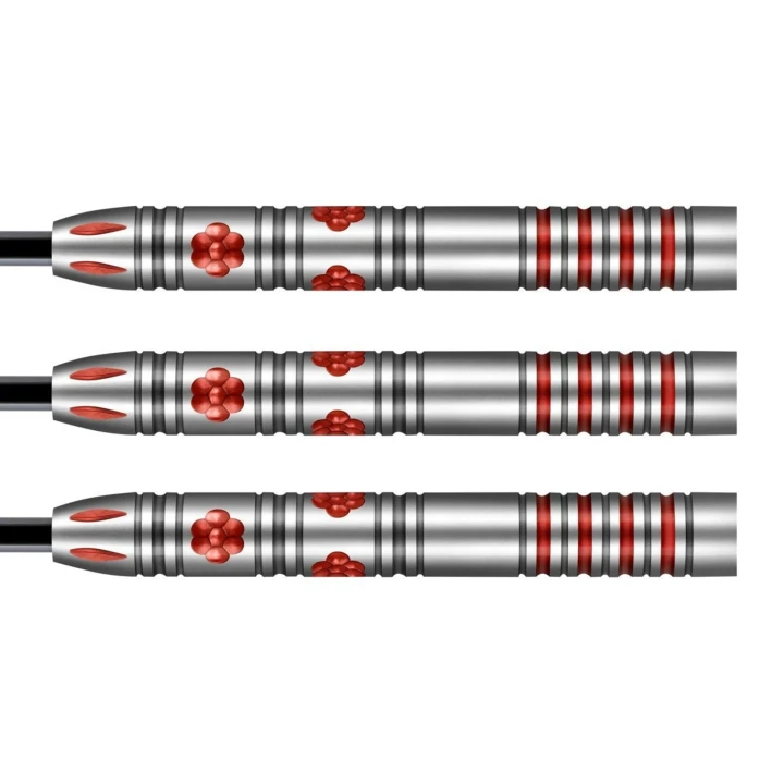 shot-shot-pro-series-barbora-hospodarska-90-dartpi (2)