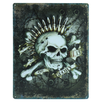 Skull glory metalen bord 30 x 40cm