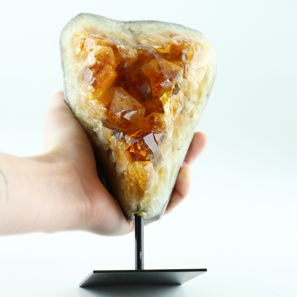 22130-3-citrien-op-standaard-hand