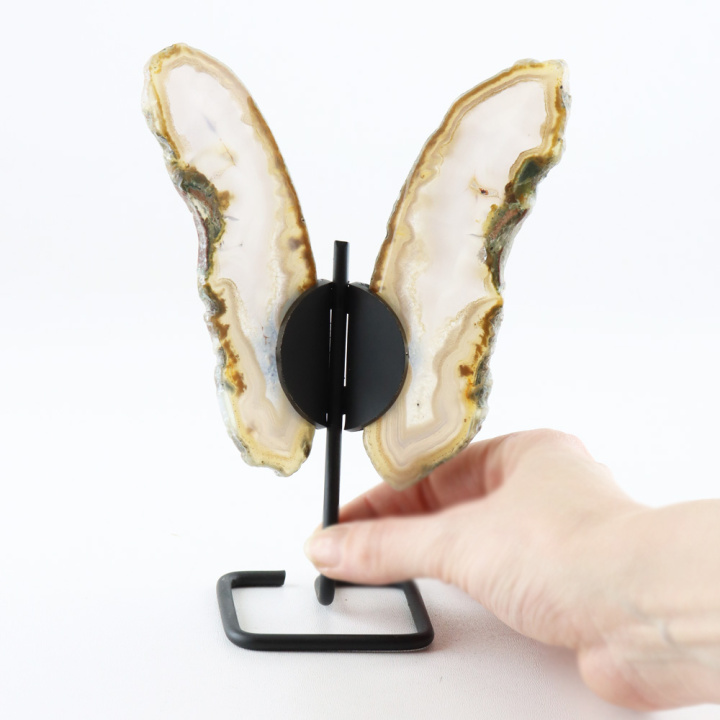 22084-2-agaat-vlinder-met-prachtige-vleugels-hand