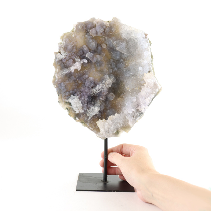 calciet flower op standaard