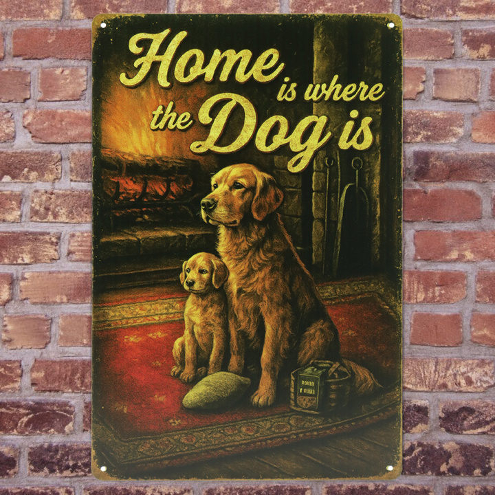 30115 Retro-vrouw-metalen-borden-achtergrond – 2 Home is where Metalen borden