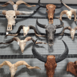 dieren schedels gegraveerd met verschillend boho details