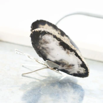 agaat vlinder wit bruin