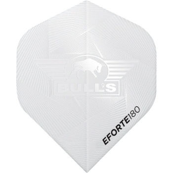 Bulls eforte 180 No.2 flight wit