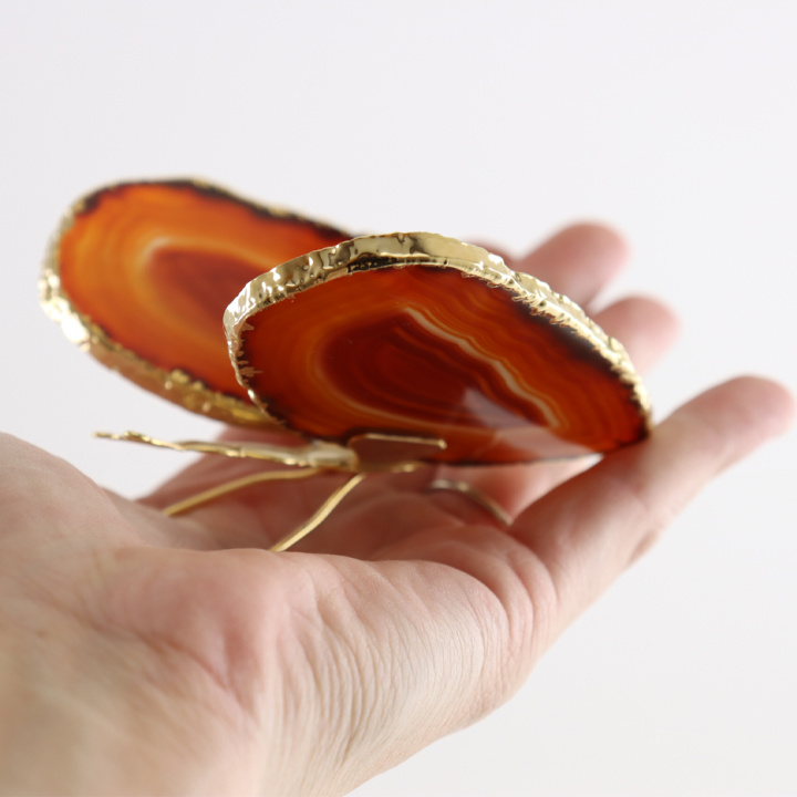 elegante bruine agaat vlinder met goud